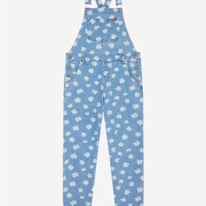 Teddy Fresh Floral Denim Overalls